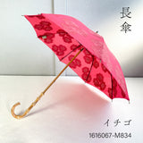 HiraTen ヒラテン 日傘 かき氷シリーズ 長傘 折りたたみ傘 刺繍 ブルーハワイ イチゴ レモン メロン