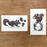 キノトリコ カードセット 10枚入り CARD SET G クマ CARDSET H スワンシュー CARDSET I リス