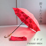 HiraTen ヒラテン 日傘 かき氷シリーズ 長傘 折りたたみ傘 刺繍 ブルーハワイ イチゴ レモン メロン