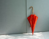 HiraTen ヒラテン 日傘 スイカな夏 長傘 折りたたみ傘 刺繍 日本製 おしゃれ ギフト プレゼント 母の日 還暦祝い 縁起物 Parasol 28907-D107T F28907-D107T