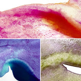 kuretake face saya danbi granulating colors 2 5 컬러 세트