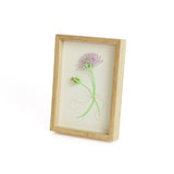 hare mizuhiki Hare Mizuhiki frame Harvest moon Hydrangea Setsubun Peach Festival Boys' Festival Mother's Day