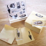 To Mei Han Stamp Clear Realistic Jellyfish Jellyfish Bread Showa Cat Sweets Cat Tomeihan-03