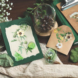 BGM クリアシール 庭園郵便局 ピンク イエロー ブルー グリーン ラベンダー レッド 切り花 ドライフラワー 10デザインx3枚(30枚) ビージーエム 手帳 ギフト