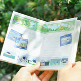 BGM クリアテープ Special 30mm 3cm 3センチ幅 BM-CFM005 緑 BM-CFM006 群青 BM-CFM007 桜色 BM-CFM008 胡桃 BM-CFM009 淡黄 BM-CFM010 水色 ビージーエム