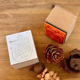 Kinotorico キノトリコ スタンプ Angel swan Angel candleはんこ かわいい おしゃれ クリスマス カード X'mas ギフト 手帳 メモ