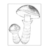 OSCOLABO スタンプ 森のキノコ 大