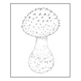 OSCOLABO スタンプ 森のキノコ 小