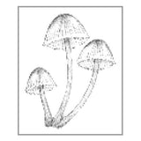 OSCOLABO スタンプ 森のキノコ 小