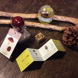 OSCOLABO スタンプ 森のキノコ 小