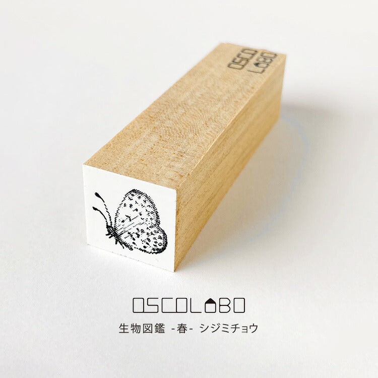 オスコラボ OSCOLABO スタンプ 生物図鑑 春 シジミチョウ ちょうちょ