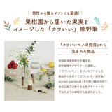 熊野筆 晃祐堂 チークブラシ SOMELL GARDEN PEACH×KEYAKI