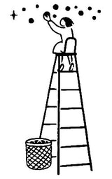 Rakui Hana Fruchtkorb Briefmarkenset 5 Typen