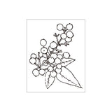 OSCOLABO スタンプ 生物図鑑