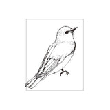 OSCOLABO スタンプ 生物図鑑