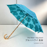 Hiraten Hiraten Série de glace rasée Long parapluie parapluie pliant broderie bleu hawaii melon