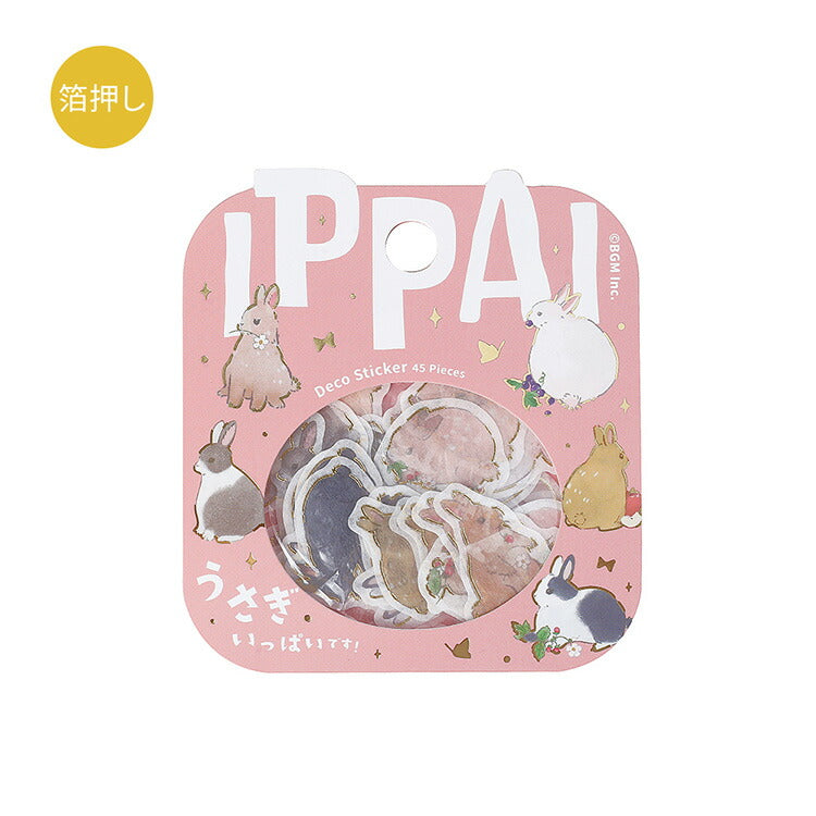 BGM Flake Sticker 45 pieces IPPAI vol.2