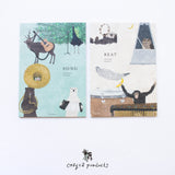 Cozyca Products Letterhead Akira Kusaka