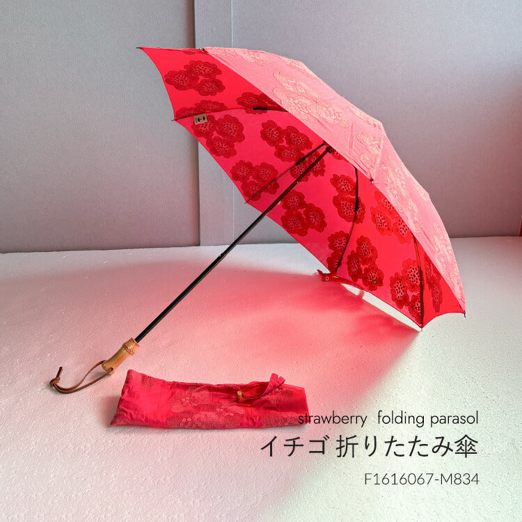 HiraTen ヒラテン 日傘 かき氷シリーズ 長傘 折りたたみ傘 刺繍 ブルーハワイ イチゴ レモン メロン