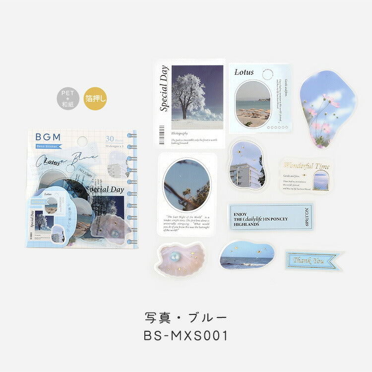 BGM ミックスシール 箔押し 写真 SEAL020 BS-MXS