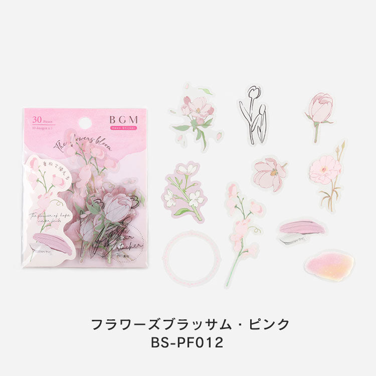 BGM CLEAR STEAL Fleurs Fleurs CSAAL001 BS-PF