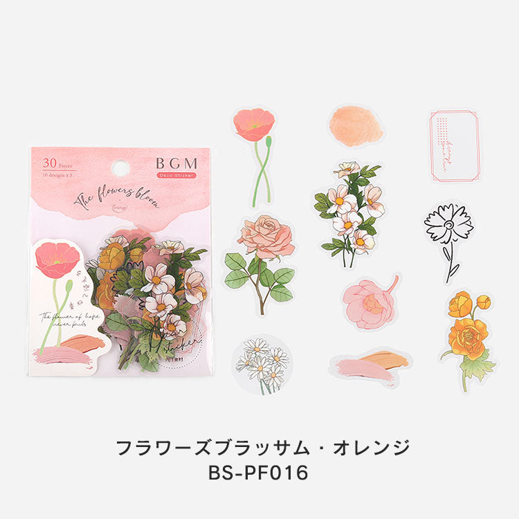 BGM CLEAR STEAL Fleurs Fleurs CSAAL001 BS-PF