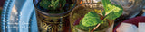 セーラー SAILOR 限定 世界のティータイム #3 モロッカンミントティー スリム万年筆 中細（MF) 11-1722-370 中字（M) 11-1722-470 ミント＆シュガー セイラー ギフト クリスマス プレゼント